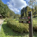 세종동_전월산 무궁화 테마공원 이미지