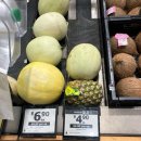 원평리 공중화장실 11-07-1 | 2026년 2월 호주 날씨, 과일 사는법, 술 구매, 꿀팁