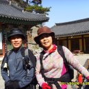 홍화원(주) | (2011. 3. 6) 산청 둔철산 정기산행