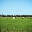 민식농장 이미지