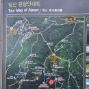 대덕장터 | 앞산/대덕산성 (251129)