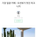 디오티앤 이미지