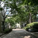 신공덕2차삼성래미안(임대-1, 208동(후문쪽) | 마포구 임장 3] 공덕 염리동 꼼꼼히 발품판 후기 (공덕삼성래미안, 마포센트럴아이파크, 신공덕삼성래미안)