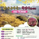 교차로여행사 이미지