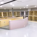 대백애견 이미지