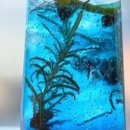 카페과르네리 이미지