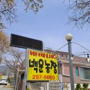백운농장 | 수원광교산맛집 백운주말농장 내돈내산 방문후기