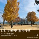세미원 | 양평 두물머리 단풍 연핫도그 세미원 입장료 솔직후기 (25/11/7)