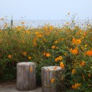 상예동-8 이미지