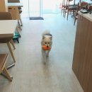 개네집 곳간 이미지