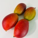 🥭무지개망고 자르는 법｜제철 망고 후숙부터 손질법까지
