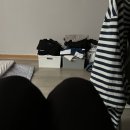 아물지 않는 상처 끝에 시작된 악몽의 한 주의 일상 (~23. 07. 30)