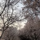 우리나현유치원 이미지