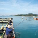 강태공낚시터 이미지