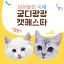 하나행운켄넬 | 고양이 박람회 캣 페어 궁디팡팡 다녀온 후기