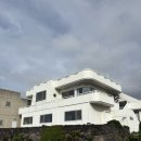 토투가 | 제주 서쪽 감성 숙소 토투가 Tortuga 연박 후기