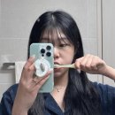 켄트홈 | 잇몸에 피가날땐 초극세모 칫솔로 잇몸 자극없이 양치하기 켄트칫솔 사용후기