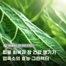 보문약국 이미지