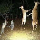 지디파크 이미지