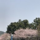청사포공원 해월정 이미지