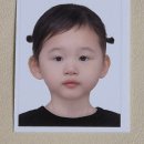 [아기랑 해외여행 준비] 아기 여권사진 찍기 옷색깔 귀 규정