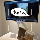 기억스튜디오 | 고야 시그니처 스튜디오 셀렉 후기ㅣ기억서점에서 사진 고르기 & 추가금 솔직후기