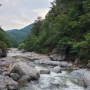 신선계곡야영장 이미지