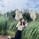 화목스테이 이미지