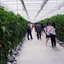 우듬지농장 이미지