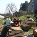 죽도농장 이미지