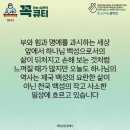 콩깍지 이미지
