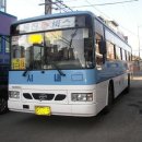 동진버스 이미지