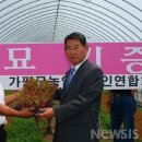 임상호농장 뉴시스