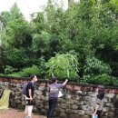 대구문성초등학교 이미지