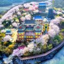 미사한강2호공원 이미지