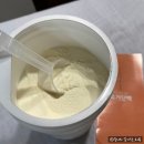 식사대용쉐이크, 마시는 유산균 단백질 요거단백 플레인맛 후기
