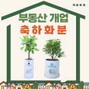 해피트리공인중개사사무소 | 부동산 개업 축하 화분 지인 공인중개사 사장님 선물