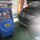 카젠오정점 이미지