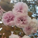 정임도서관 이미지