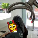 기라헤어살롱