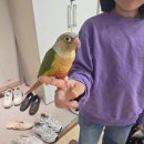 차령휴게소푸드코트
