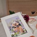 포포즈 반려동물 장례식장 경기광주점 | 광주 강아지 반려견 장례식장 포포즈 비용 후기 내돈내산