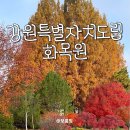 강원특별자치도산림박물관 | 춘천 단풍명소 강원특별자치도립화목원, 산림박물관