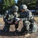 📣[9여단 소식] 해병대9여단 공병지원대 전술훈련 이미지