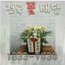 영등동-48 이미지