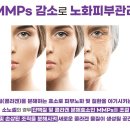 셀트