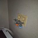 풍림세탁 이미지