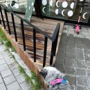 푸른달엿새