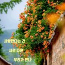 블루-존 이미지