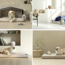 베데스다의료기 이미지